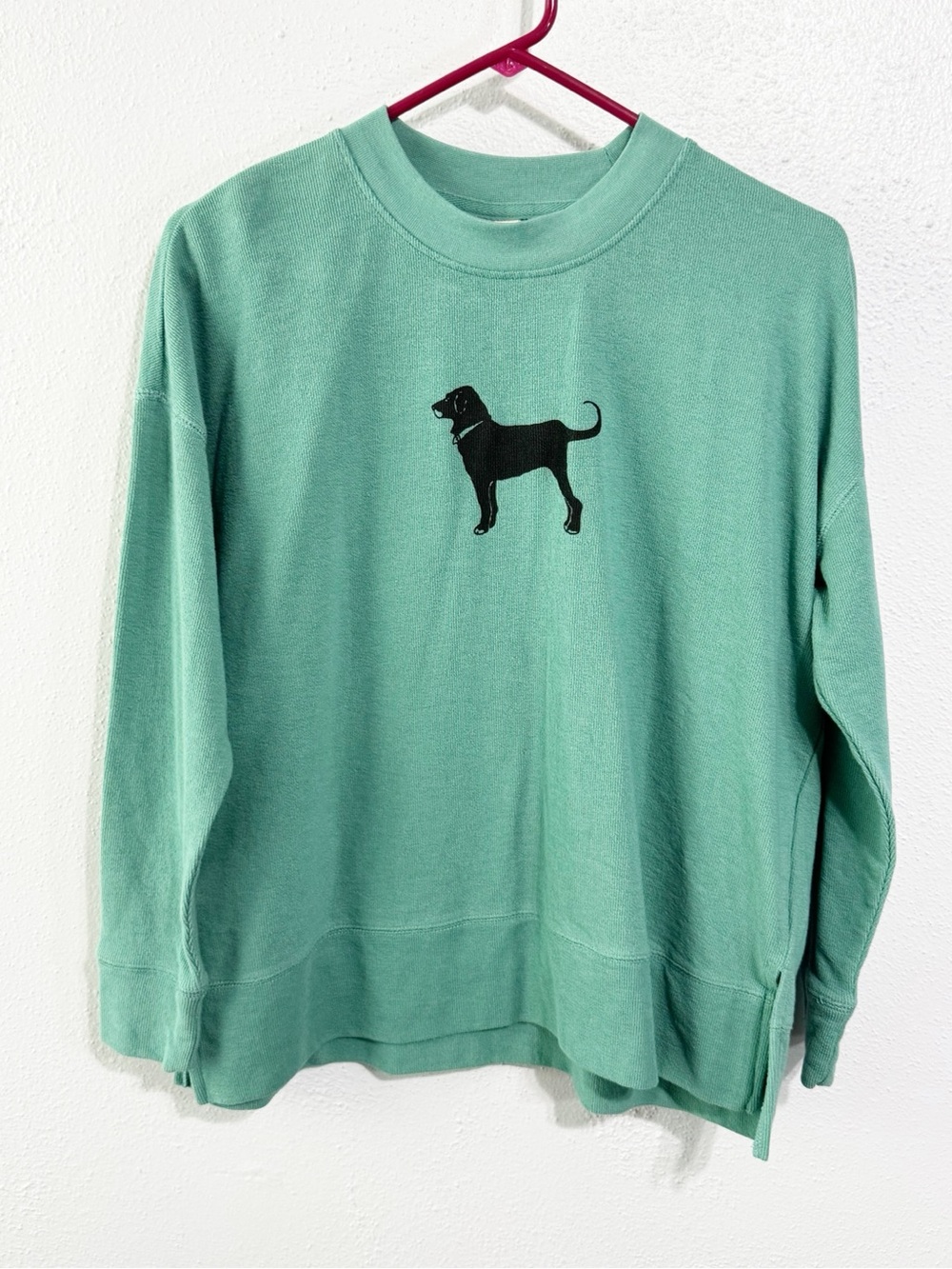 The Black Dog Graphic Crewneck Sweatshirt - Mint Green xs
